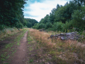 MG_7634-Kopie