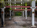MG_5816-Kopie