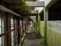 MG_5829-Kopie