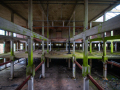 MG_5834-Kopie