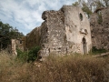 MG_9343