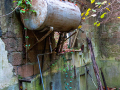MG_3132-Kopie