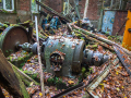MG_3135-Kopie