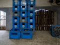 MG_5325-Kopie