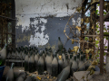 MG_5326-Kopie