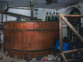 MG_5331-Kopie