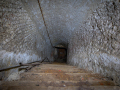 MG_5336-Kopie