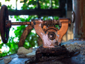 MG_6387-Kopie