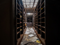 MG_1145-Kopie