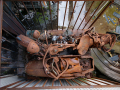MG_2291-Kopie