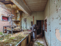 MG_3141-Kopie