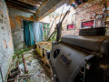 MG_3143-Kopie