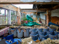 MG_3145-Kopie