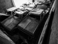 IMG_7133.jpg