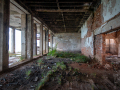 MG_4518-Kopie