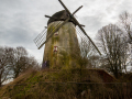 MG_5598-Kopie