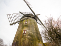 MG_5603-Kopie