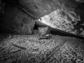 MG_6722