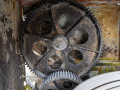 0K3A6908-Kopie
