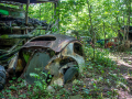 MG_2376-Kopie