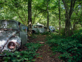 MG_2393-Kopie