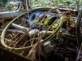 MG_2423-Kopie