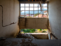 MG_4814-Kopie