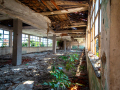 MG_4829-Kopie