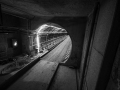 IMG_4355