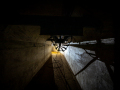 MG_5540-Kopie