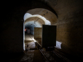MG_5542-Kopie