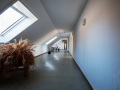 MG_5517-Kopie