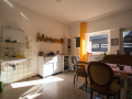 MG_5523-Kopie