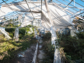 MG_5603-Kopie
