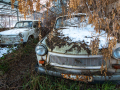 MG_0009-Kopie