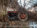 MG_0010-Kopie