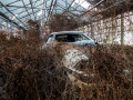 MG_0011-Kopie