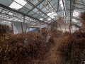 MG_0012-Kopie
