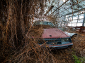 MG_0013-Kopie