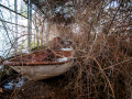 MG_0014-Kopie