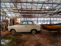 MG_0017-Kopie
