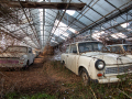 MG_9995-Kopie
