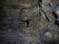 MG_5555-Kopie